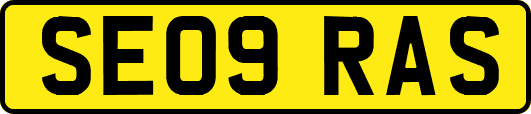 SE09RAS