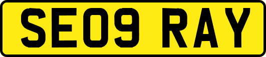 SE09RAY