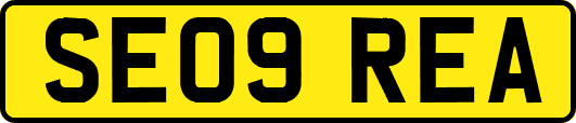 SE09REA