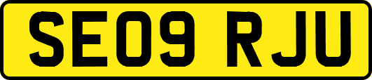 SE09RJU