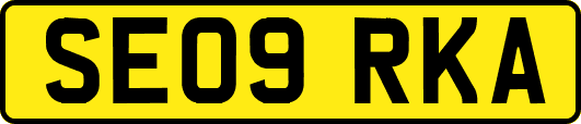 SE09RKA