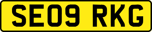 SE09RKG