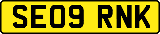 SE09RNK