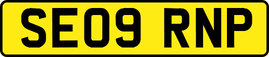 SE09RNP