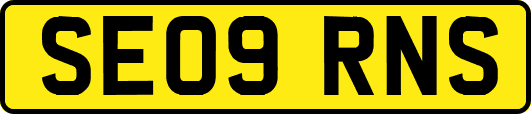 SE09RNS