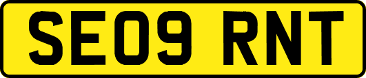 SE09RNT