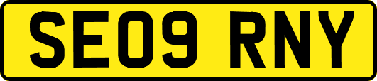 SE09RNY