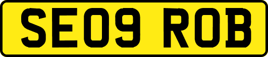 SE09ROB