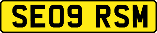 SE09RSM