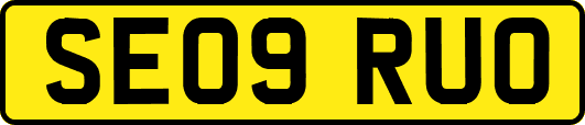 SE09RUO
