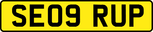 SE09RUP
