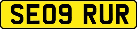 SE09RUR