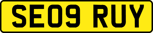 SE09RUY