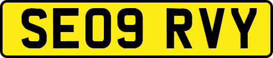SE09RVY