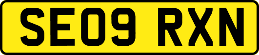 SE09RXN