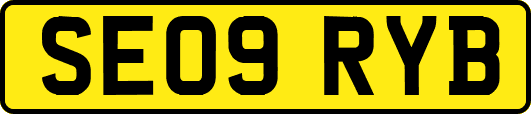 SE09RYB