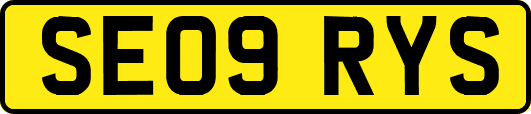 SE09RYS