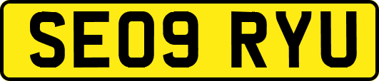 SE09RYU