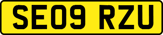 SE09RZU