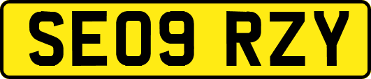 SE09RZY