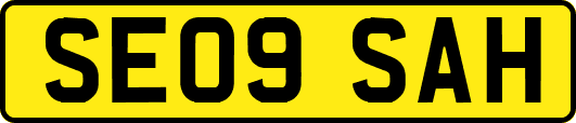 SE09SAH