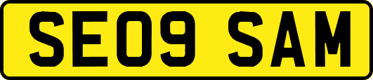 SE09SAM