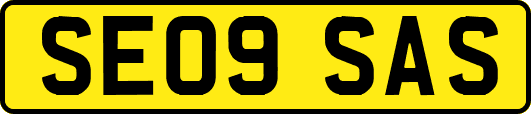 SE09SAS