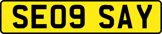 SE09SAY