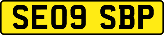 SE09SBP