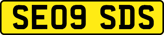 SE09SDS