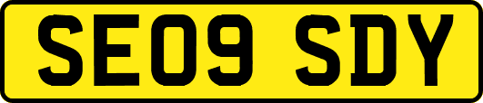 SE09SDY