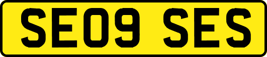 SE09SES