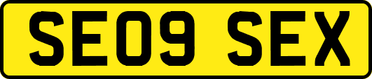 SE09SEX