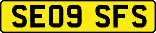 SE09SFS
