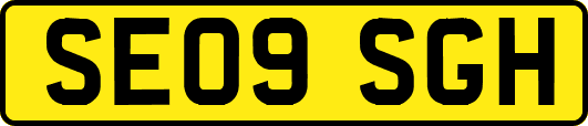 SE09SGH