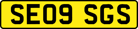 SE09SGS