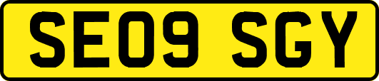 SE09SGY
