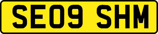 SE09SHM
