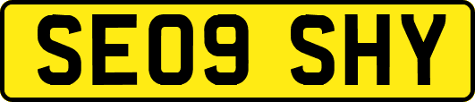 SE09SHY