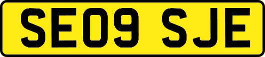 SE09SJE