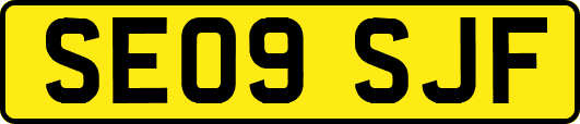 SE09SJF