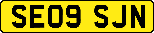 SE09SJN