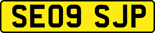 SE09SJP
