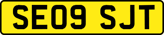 SE09SJT
