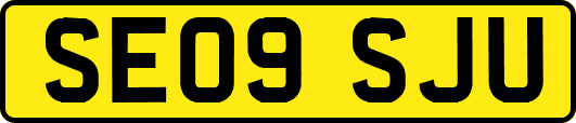 SE09SJU
