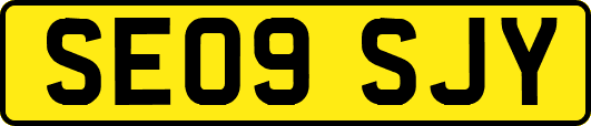 SE09SJY