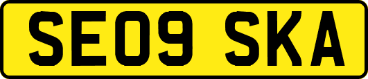 SE09SKA