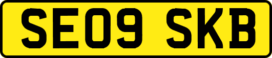 SE09SKB