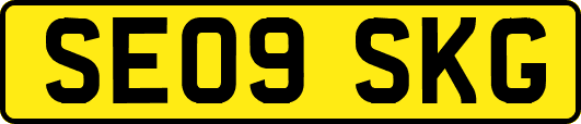 SE09SKG