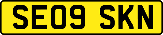 SE09SKN